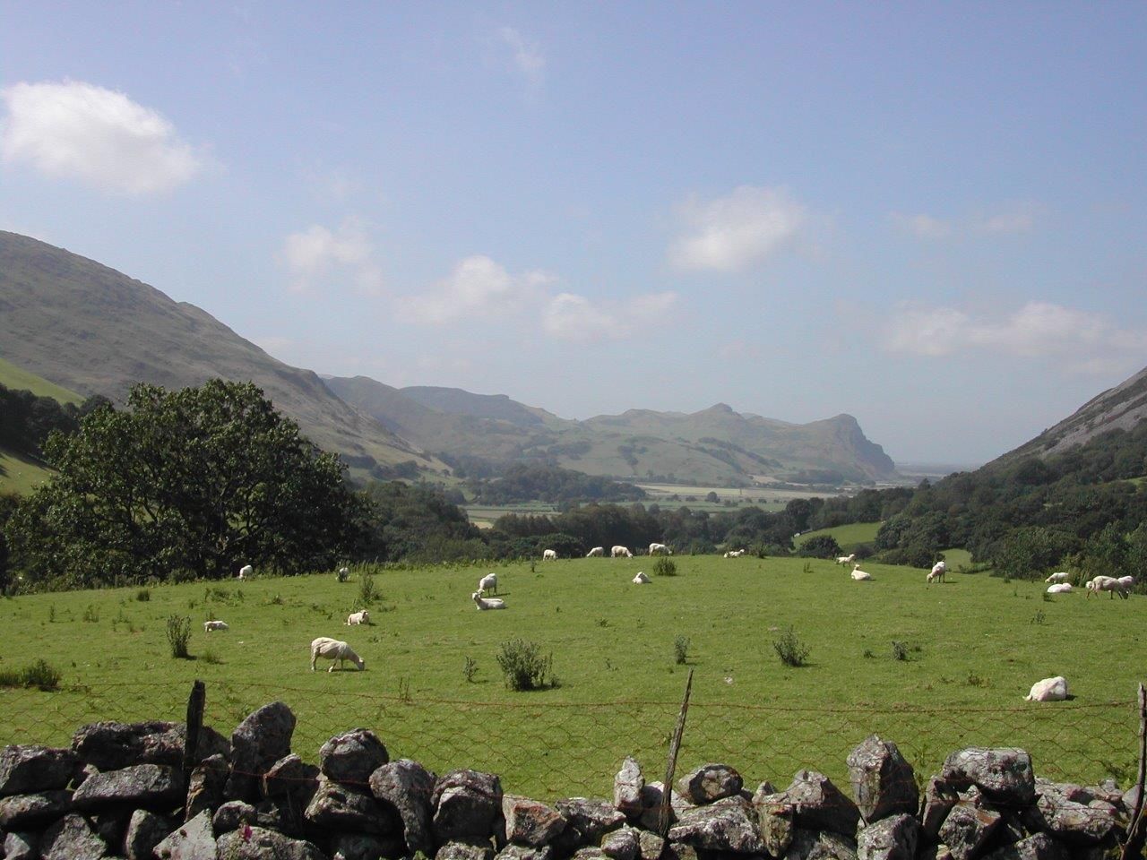 Dysynni Valley